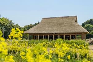 農家レストラン 陽・燦燦